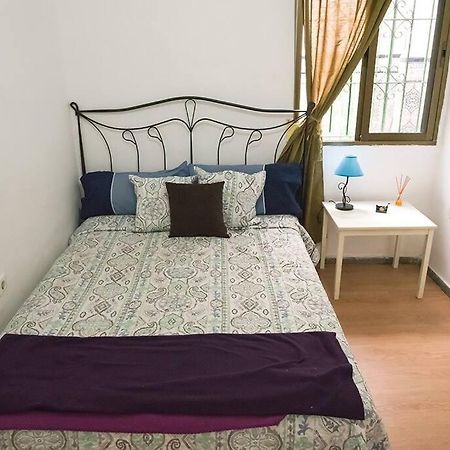 The Oasis One Spacious Apartment In Sevilla מראה חיצוני תמונה